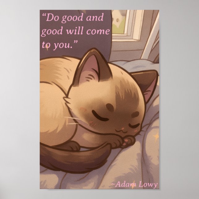 Poster Gatinho Positivo e Pacífico (Frente)