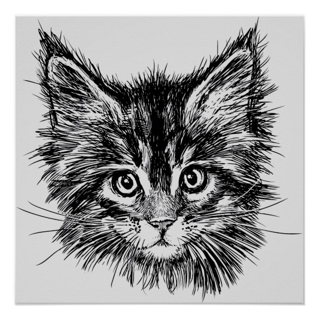 Póster Gatinho preto e branco rosto de Cinza (Frente)