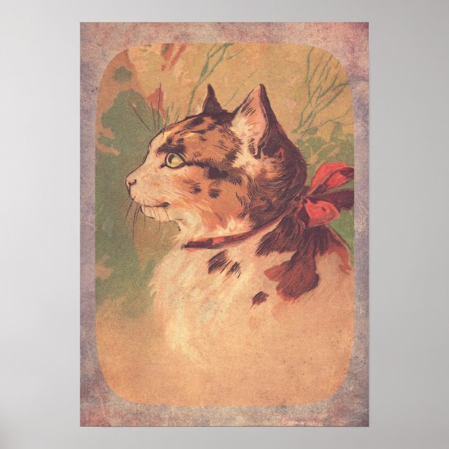 Póster Gatinho Vintage bonito (Frente)