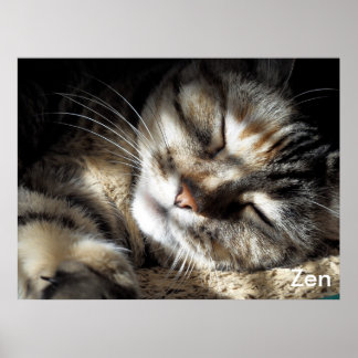 Poster Gatinho Zen