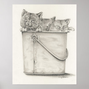 Póster Gatinhos