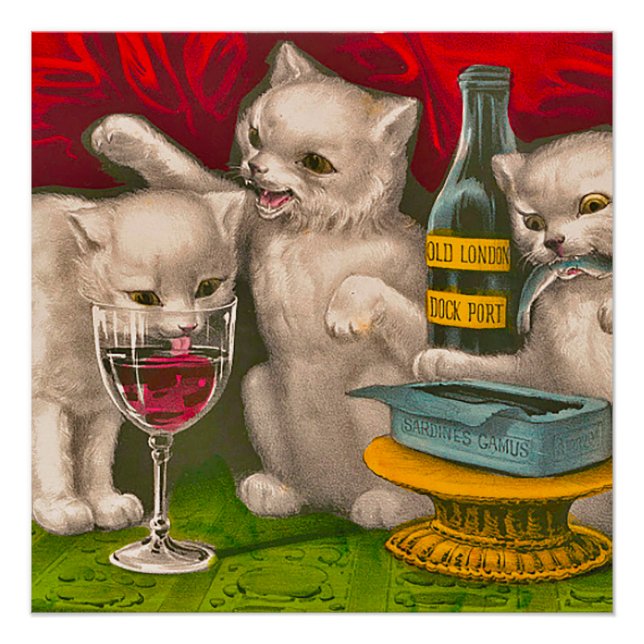 Póster Gatinhos bebendo e comendo peixe-sardinha (Frente)