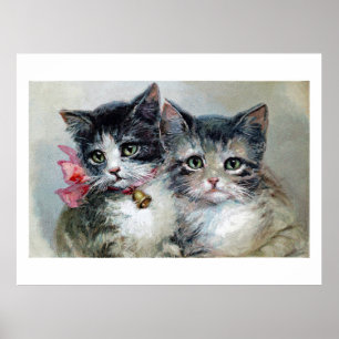 Poster Gatinhos bonitos e cortantes, adoráveis,
