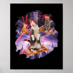 Poster Gatinhos de pizza de gatos laser
