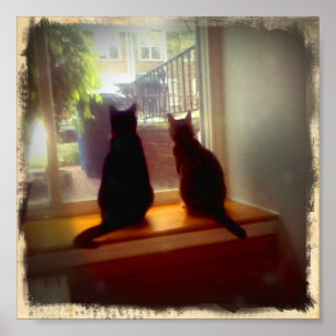 Póster Gatinhos de Vista de Janela