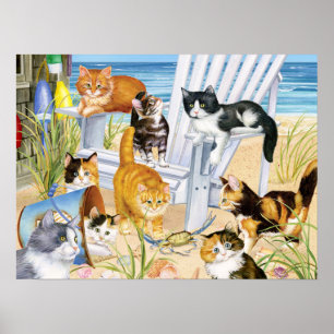 Poster Gatinhos do vagabundo da praia