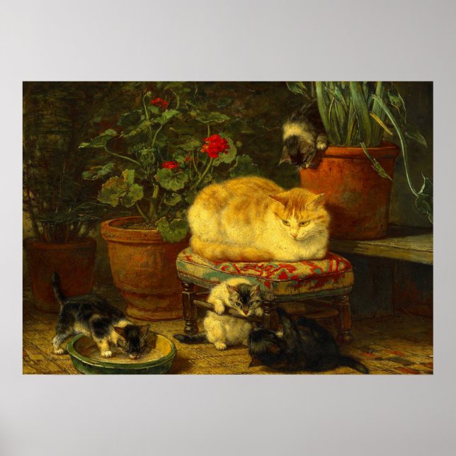 Poster Gatinhos no Play (Frente)