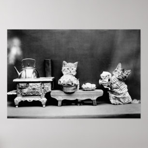 Poster Gatinhos que lavam pratos - Harry Whittier livra -