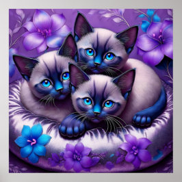 Poster Gatinhos Siameses Flores Roxas Travesseiro de Prat