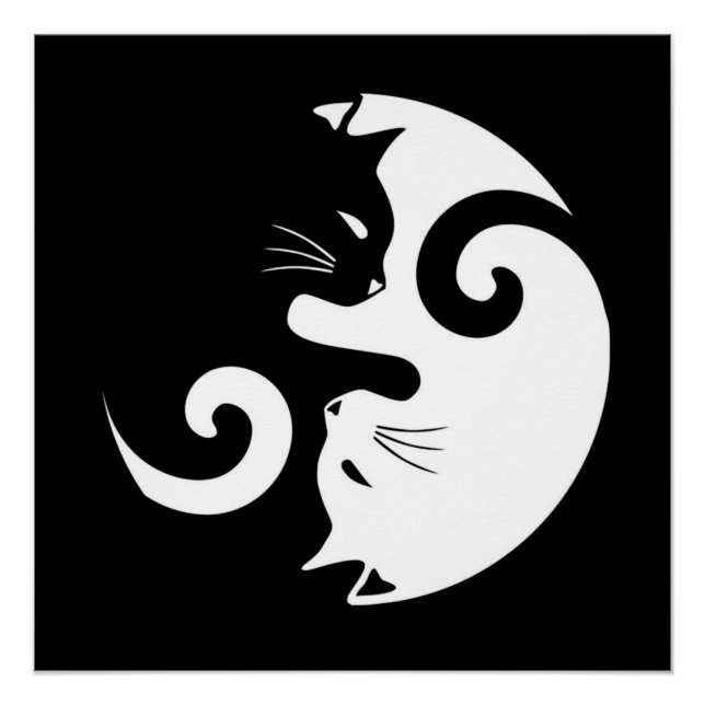 Póster Gatinhos Yin Yang (Frente)