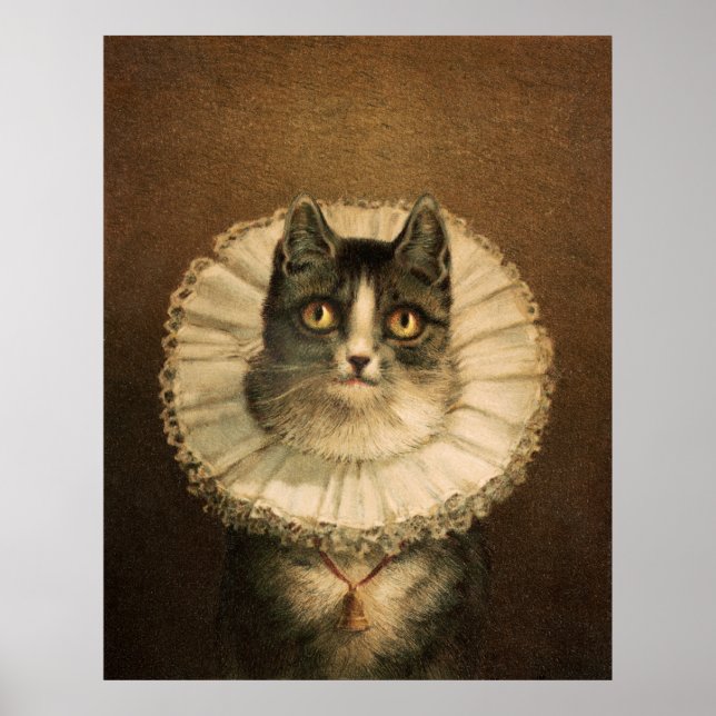 Poster Gato (Frente)