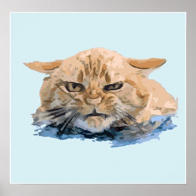 Poster gato (Frente)