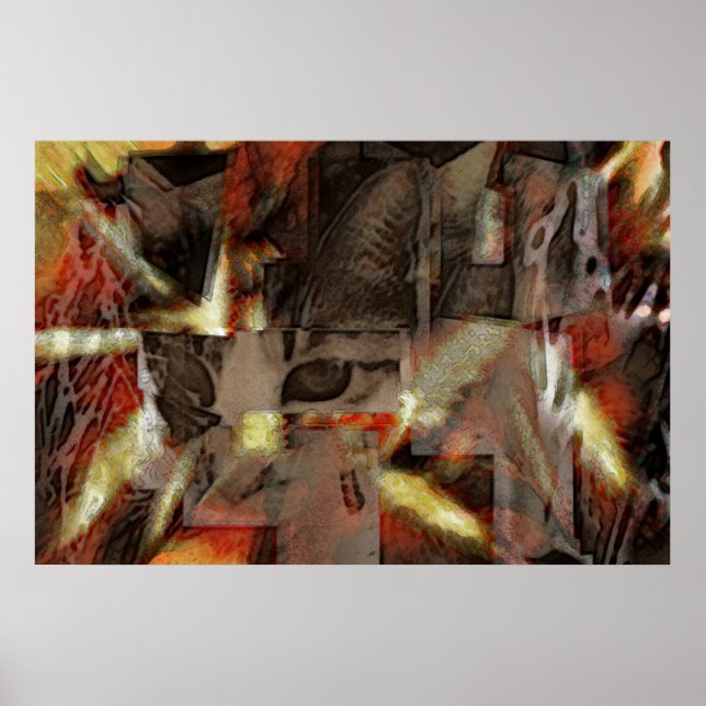 Póster Gato (Frente)