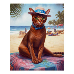 Póster Gato abissino na praia, presente de verão para o a