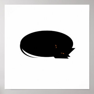Poster Gato acolhedor