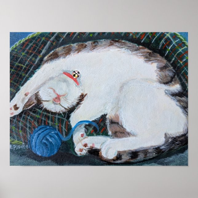 Poster Gato Adormecido (Frente)
