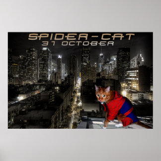 Póster gato-aranha