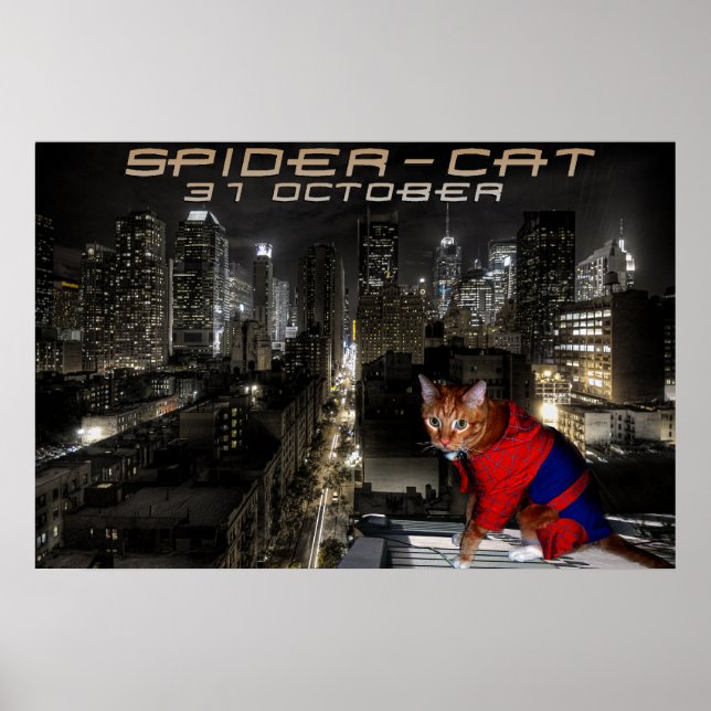 Póster gato-aranha (Frente)