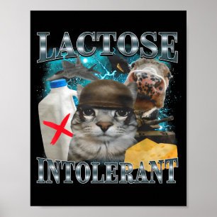 Poster Gato Bobo Intolerante à Lactose Meme Dito Divertid