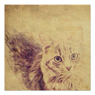 Póster Gato bonito amante lápis esboço cinza por gato