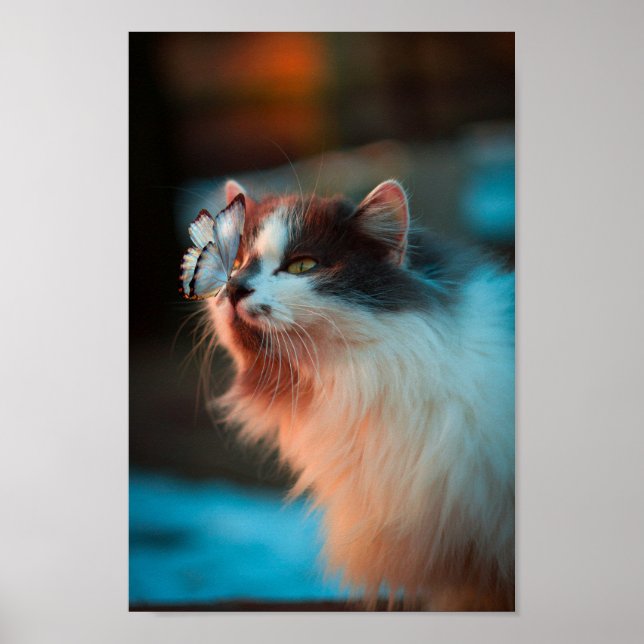 Poster Gato Bonito Com Uma Borboleta No Nariz (Frente)
