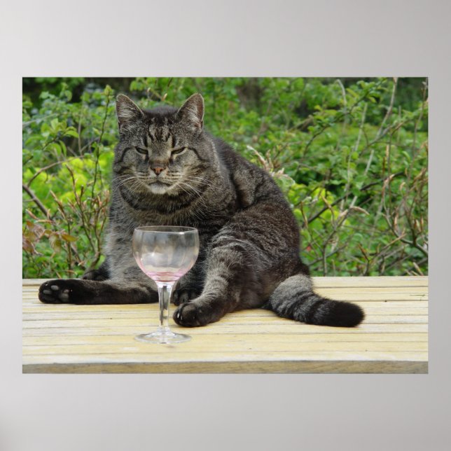 Póster Gato "Bram" na mesa com um copo de vinho (Frente)