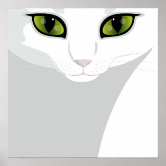 Poster Gato Branco com Olhos Verdes