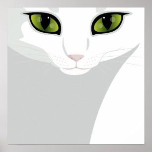 Poster Gato branco com os olhos verdes da jóia