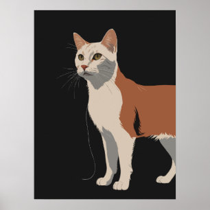 Poster Gato branco e laranja em fundo preto