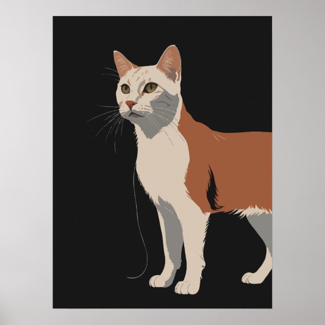 Poster Gato branco e laranja em fundo preto (Frente)