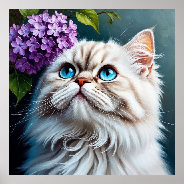 Poster Gato Branco Fofinho Com Olhos Azuis (Frente)