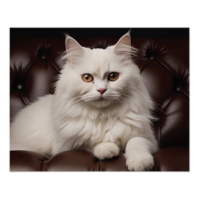 Póster Gato branco majestoso (Frente)