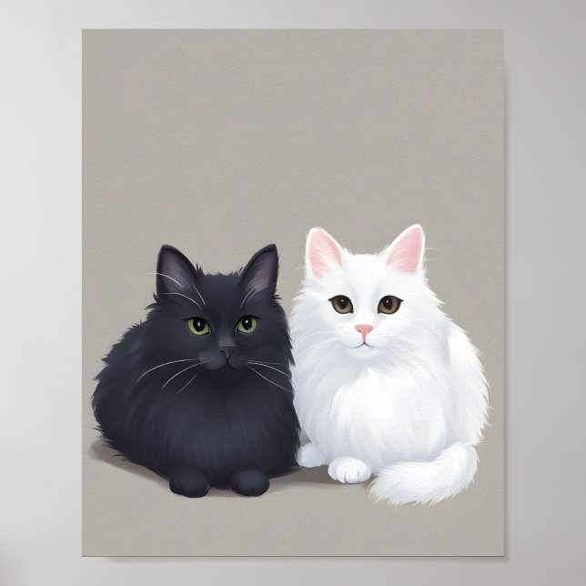 Poster gato branco preto (Frente)