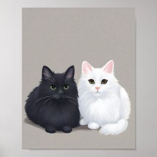 Poster gato branco preto
