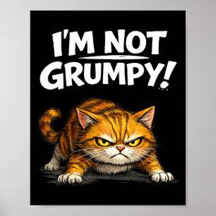 Poster Gato Bravo Engraçado Não Estou Irritado Gatinho Ho