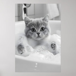 Poster Gato British Shorthair Banho Impressão, Banheiro D