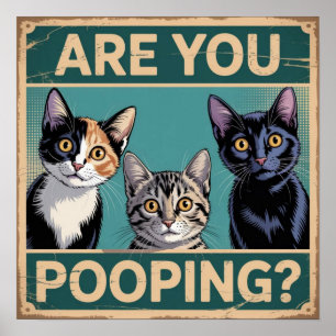 Poster Gato Calico, Tabby e Preto Engraçado "Você está fa