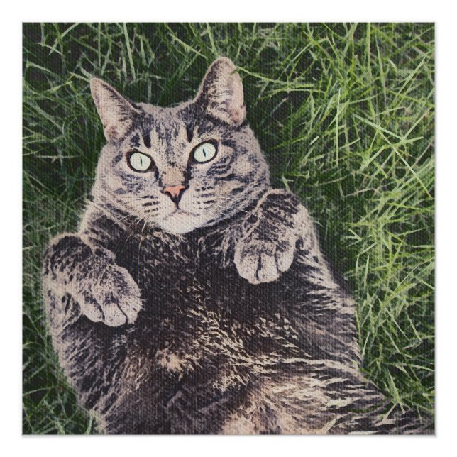 Póster gato cinza deitado na grama (Frente)