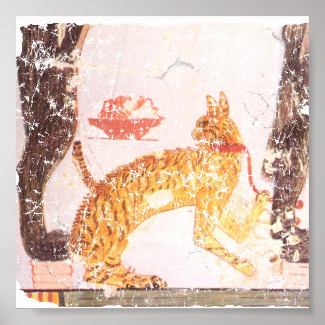 Poster gato com coleira (Frente)