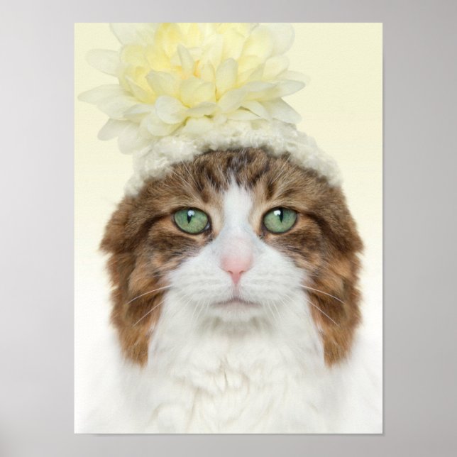 Póster Gato Com Hato De Flor (Frente)