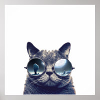 Gato com óculos de sol legal