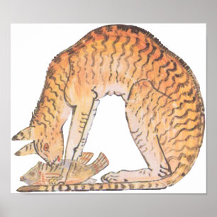 Póster gato com peixe