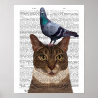 Gato com Pombo na Cabeça