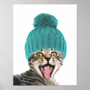 Póster Gato com retrato de boné de animais bonitos