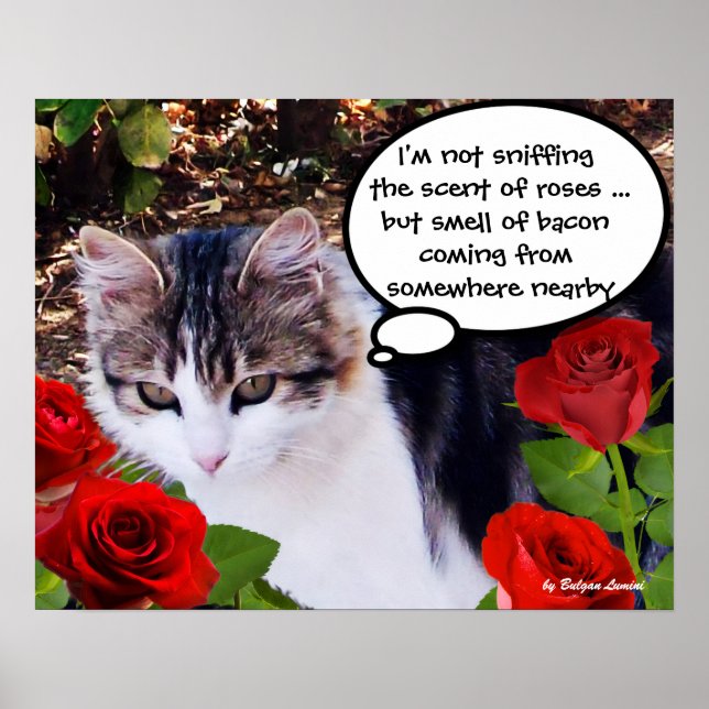 PÓSTER GATO COM ROSAS VERMELHAS (Frente)