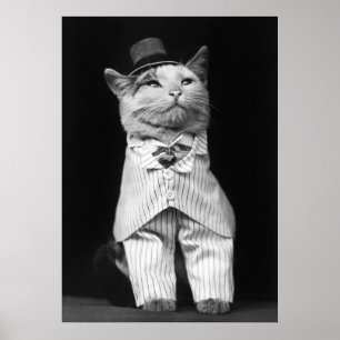 Póster Gato com um chapéu, 1906