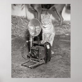 Póster Gato com uma Câmera, 1936. Foto Antiga