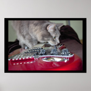 Póster Gato com Violão Elétrico Vermelho