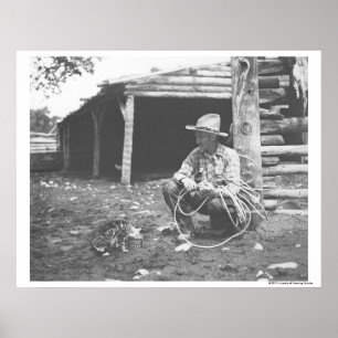 Póster Gato comendo de uma lata de café.