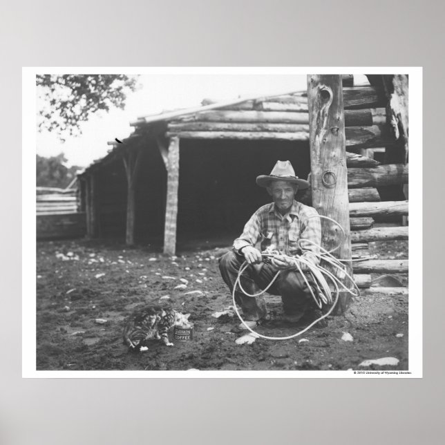 Póster Gato comendo de uma lata de café (Frente)